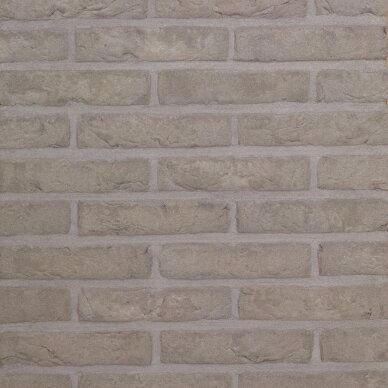 Fasadinė klinkerio plyta Wienerberger AGORA Alugrijs Fasadinė klinkerio plyta Wienerberger AGORA Alugrijs