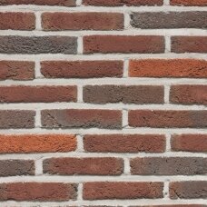 Fasadinė klinkerio plyta Wienerberger Alverna