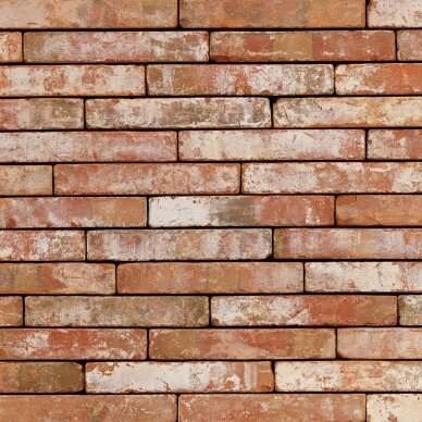 Fasadinė klinkerio plyta Wienerberger Atrium Rood