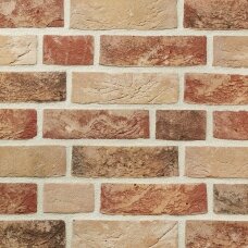 Fasadinė klinkerio plyta Wienerberger Aurora