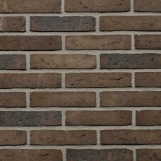 Fasadinė klinkerio plyta Wienerberger Cosmos Exclusief WS