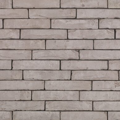 Fasadinė klinkerio plyta Wienerberger Imperium Notus Fasadinė klinkerio plyta Wienerberger Imperium Notus