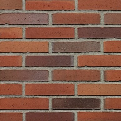 Fasadinė klinkerio plyta Wienerberger Passiebloem WS Fasadinė klinkerio plyta Wienerberger Passiebloem WS