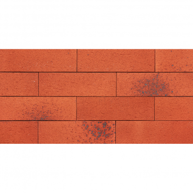 Plytelės Fasanis Spicy Red