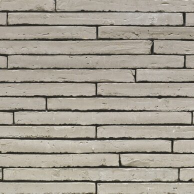 Fasadinė klinkerio plyta Wienerberger Wasserstrich Special Grey Fasadinė klinkerio plyta Wienerberger Wasserstrich Special Grey